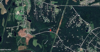 Satellite View