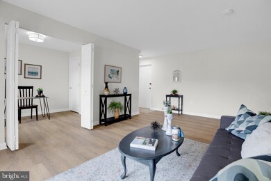 5937 Quantrell Ave unit T2, Alexandria, VA 22312 - photo 5