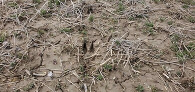 2781 N Us Highway 27, Portland, IN 47371 - photo 7