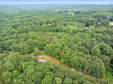Lot 30 Stan Ln, Cedar Grove, TN 38321 - photo 2