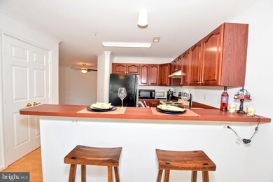 1700 Rich Way unit 2A, Forest Hill, MD 21050 - photo 6
