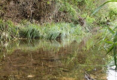 421 Post Oak Rd, Fredericksburg, TX 78624 - photo 4