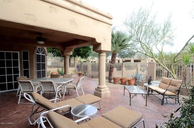 26 Back yard (1)
