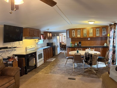 County Rd 243, Wheatland, MO 65779 - photo 7