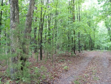 659 Old Mansion Rd unit B, Lunenburg Court House, VA 23952 - photo 4