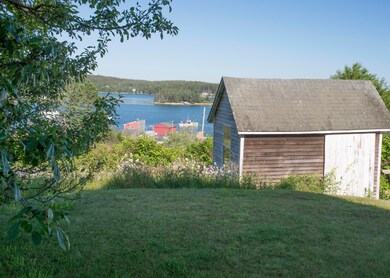 Yard & Shed