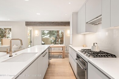 814 W Bleeker St unit C4, Aspen, CO 81611 - photo 7