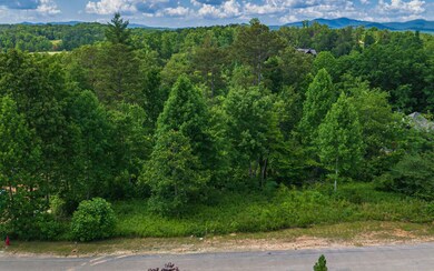 LT212 Old Toccoa Farm, Mineral Bluff, GA 30559 - photo 6