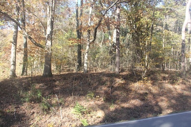 1101 Salem Rd, Rossville, GA 30741 - photo 3