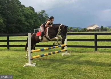 16873 Chestnut Overlook Dr, Purcellville, VA 20132 - photo 6