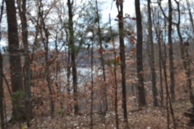 34.15ac Frogue Rd, Burkesville, KY 42717 - photo 7