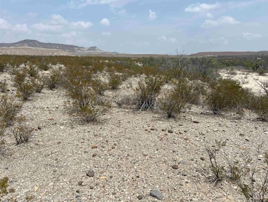 20865 & 66 Ivy Pid 20865 & 66, Terlingua, TX 79852 - photo 2