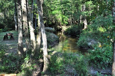 125 River Rd, Lucedale, MS 39452 - photo 3