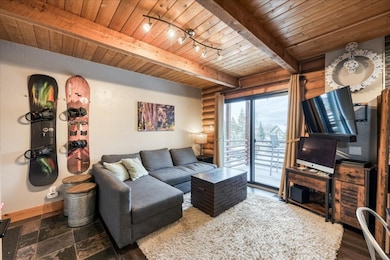 100 Cove Blvd unit B, Dillon, CO 80435 - photo 3