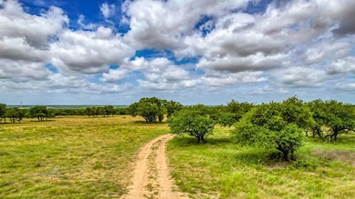 109 Bosal Ln, Weatherford, TX 76088 - photo 3