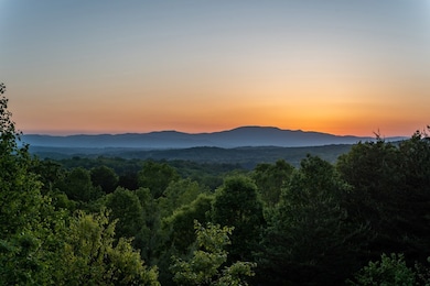 433 Spruce Cir, Mineral Bluff, GA 30559 - photo 6