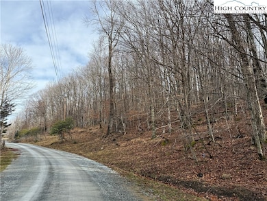 109 Hawthorne Rd, Beech Mountain, NC 28604 - photo 2