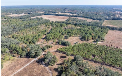 TBD7 129th Rd, Live Oak, FL 32060 - photo 3