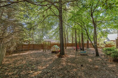 Back Yard 1