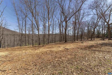 Lot 3 Rockfish Valley Hwy unit 3, Afton, VA 22920 - photo 3