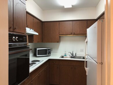 2701 Bellefontaine St unit B5, Houston, TX 77025 - photo 7