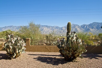Backyard Views