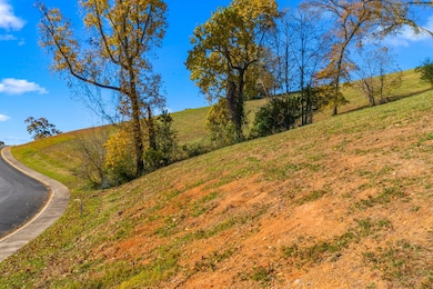 2441 Starboard Crest Rd, Morristown, TN 37814 - photo 4