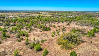 1350 Tidwell Rd, Brock, TX 76087 - photo 6