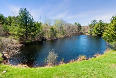 Overlooking the Pond