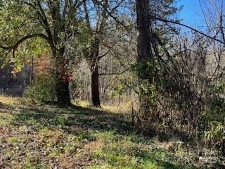 418 Owl Hollow Rd, Marion, NC 28752 - photo 4