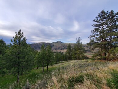 570X Tunk Creek Rd, Riverside, WA 98849 - photo 6