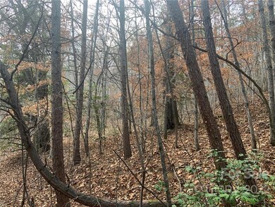 0 Cherokee Mine Rd, Franklin, NC 28734 - photo 5