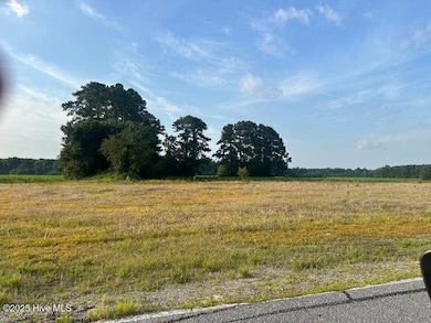 0 Lloyd Corey Rd, Robersonville, NC 27871 - photo 2