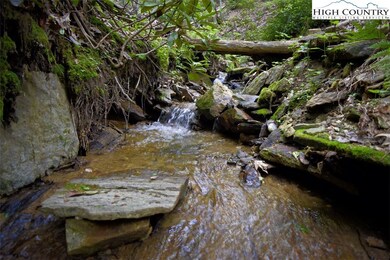 2088 Little Laurel Rd, Boone, NC 28607 - photo 4