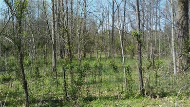 Property has some fencing.