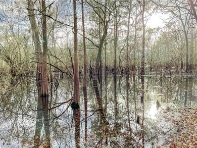 600 SW Santa fe Dr, Fort White, FL 32038 - photo 5