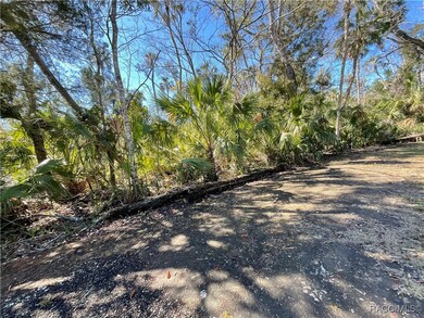 10714 W Marker Path, Homosassa, FL 34448 - photo 3