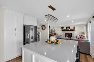 9550 Beall St, Dyer, IN 46311 - photo 5