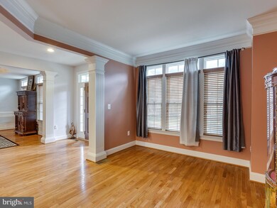 25085 Malmsbury Terrace, Chantilly, VA 20152 - photo 4