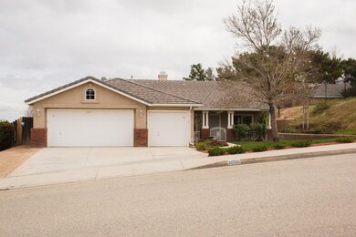 38560 Juniper Tree-3