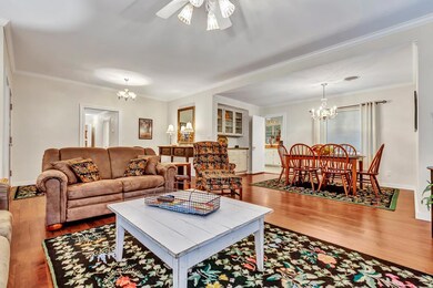 410 Cora St, Fredericksburg, TX 78624 - photo 5