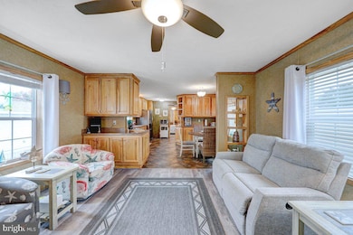 7 Spinning Wheel Ln, Rehoboth Beach, DE 19971 - photo 7