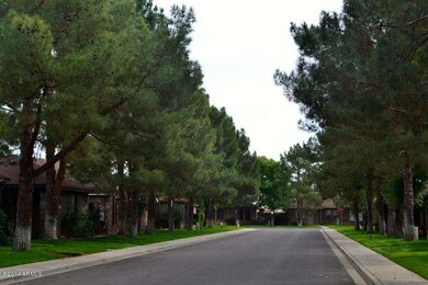 Tree Lined Streets