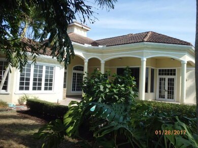 rear patio view 2