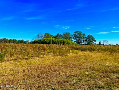 0 Darbun China Grove Rd unit 4132615, Sandy Hook, MS 39478 - photo 7