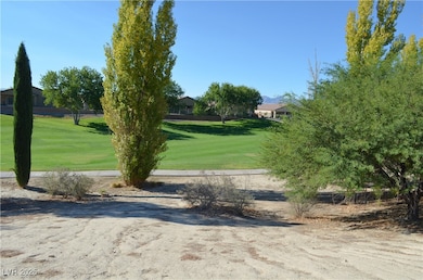 5519 Eleganza Ave, Pahrump, NV 89061 - photo 4