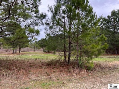 0 Mcdaniel Rd unit 209050, Downsville, LA 71234 - photo 7