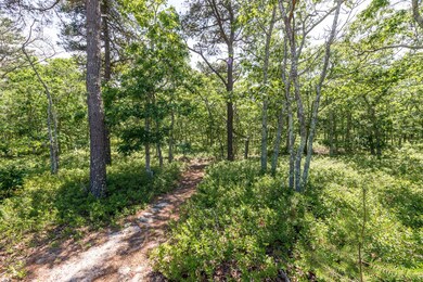 12 Paddock Rd, Oak Bluffs, MA 02568 - photo 5