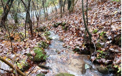 L 62 Quin Springs, Ellijay, GA 30540 - photo 3