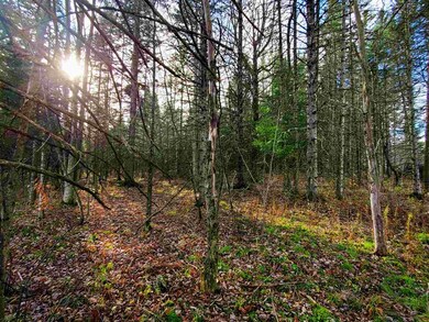 405 Morningside Dr, Newport, VT 05857 - photo 6